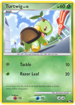 Turtwig