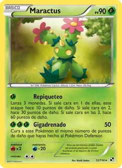 Maractus