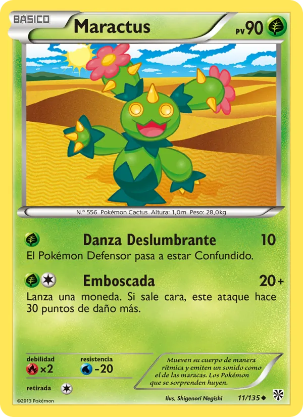 Maractus