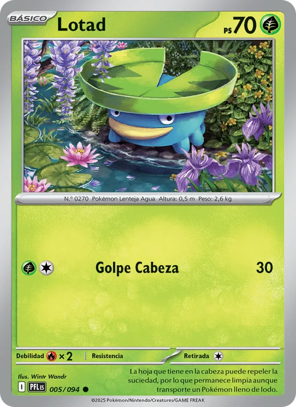 Lotad