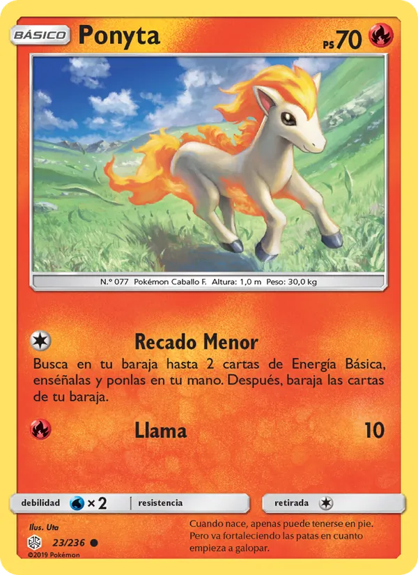 Ponyta