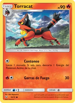 Torracat