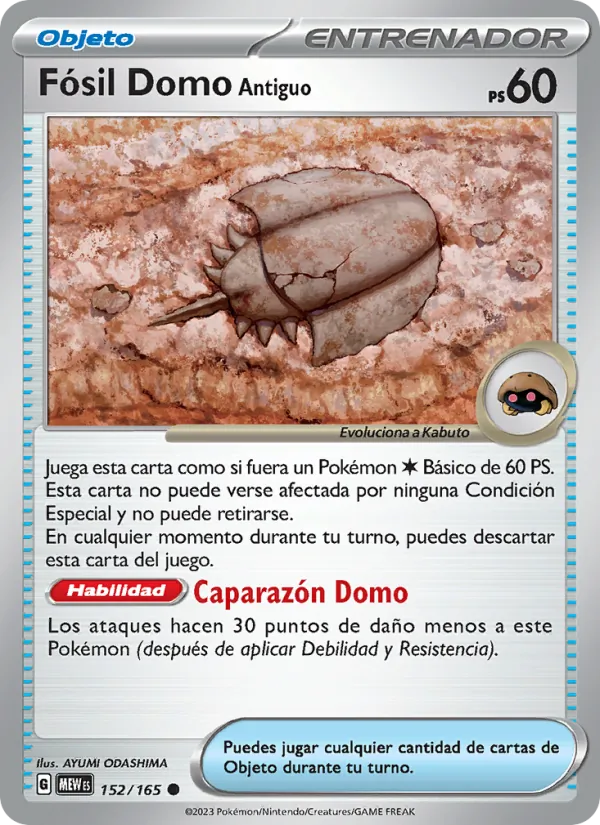 Fósil Domo Antiguo