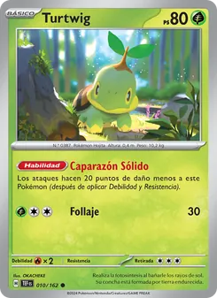 Turtwig