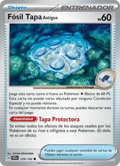 Fósil Tapa Antiguo