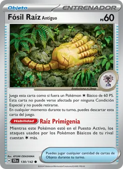 Fósil Raíz Antiguo