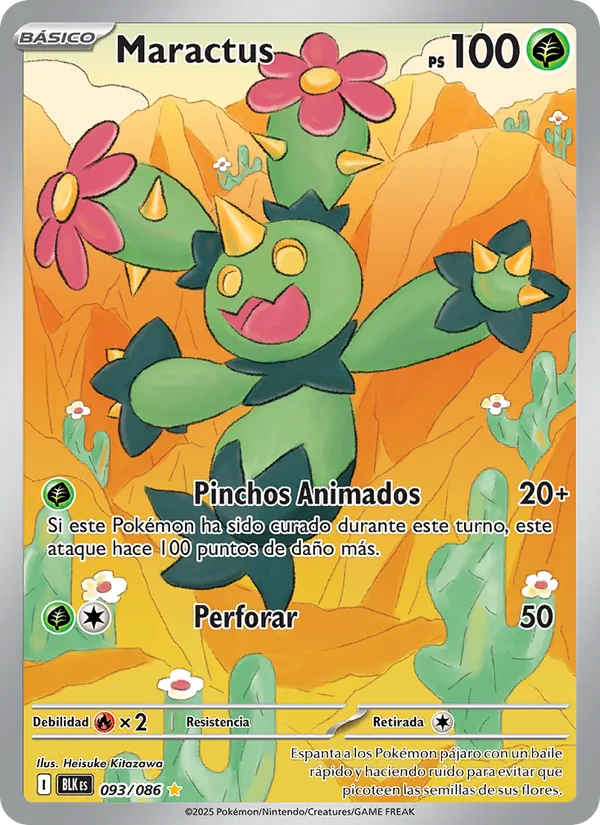 Maractus