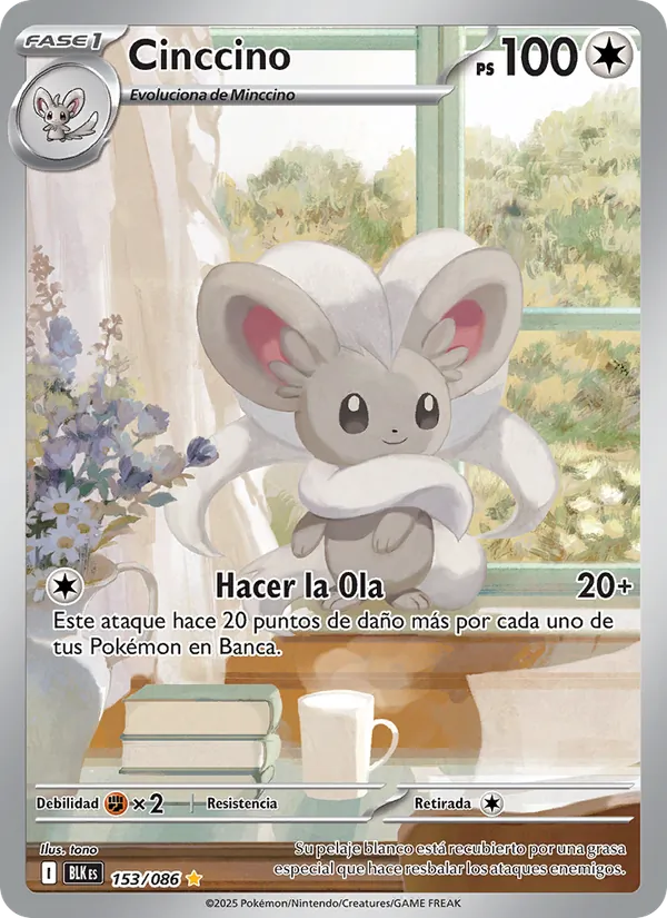 Cinccino