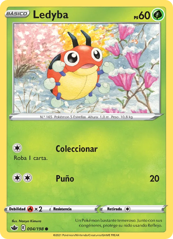 Ledyba