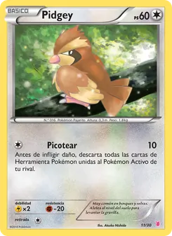 Pidgey