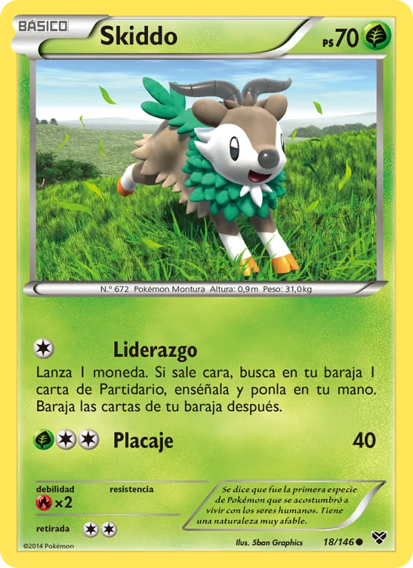 Skiddo